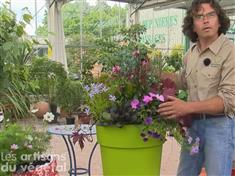 Astuces de pro pour de belles jardinières